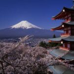 <span class="title">【東京都内発】 絶景かな！富士山と桜の競演！約650本「新倉山浅間公園」 春うらら♪桜・チューリップ・菜の花も！ 口コミで大人気！クロワッサン詰め放題　日帰り  2026年4月1日(水) 〜4月30日(木)</span>